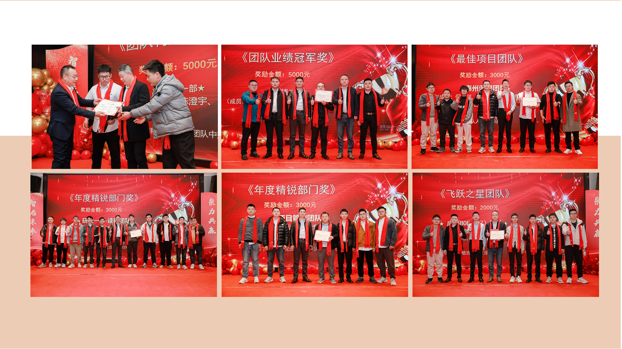智啟未來 聚力共贏——新西旺公司十周年慶典暨2024年度盛典圓滿舉行(圖4)