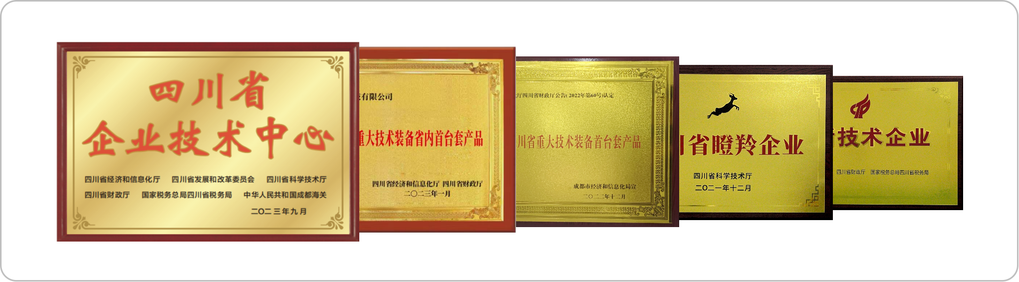 公司榮譽(yù)(圖5)